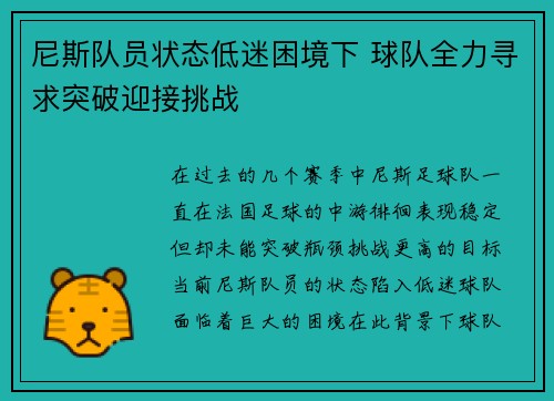 尼斯队员状态低迷困境下 球队全力寻求突破迎接挑战